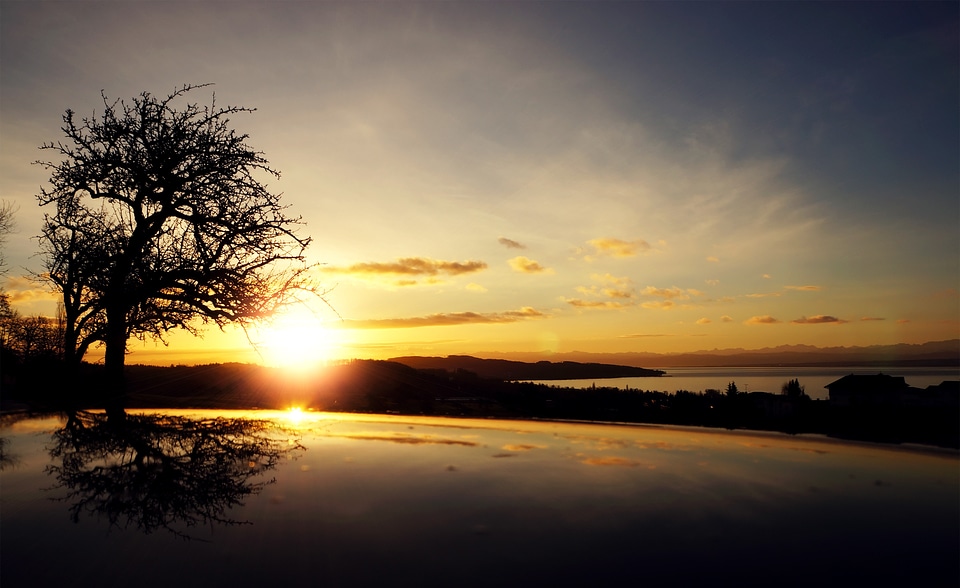 Silhouette reflection yellow