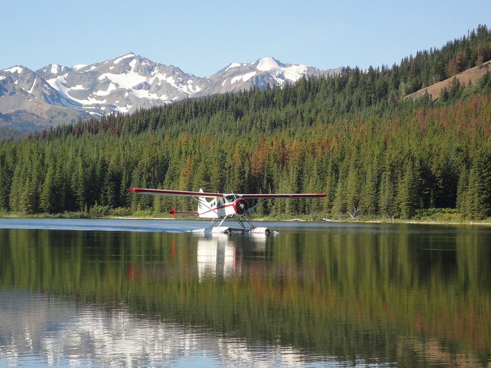 Mountains forest flying