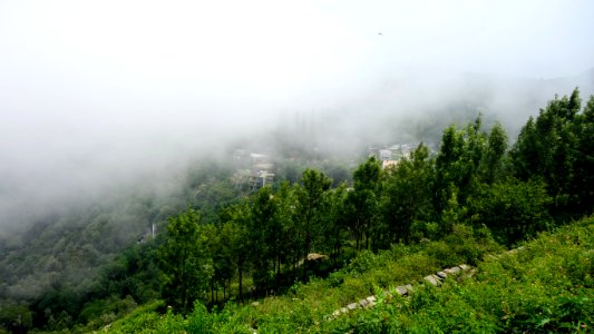 Childrens Seat Yercaud India
