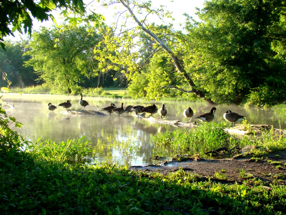 Three Creeks Metro Park