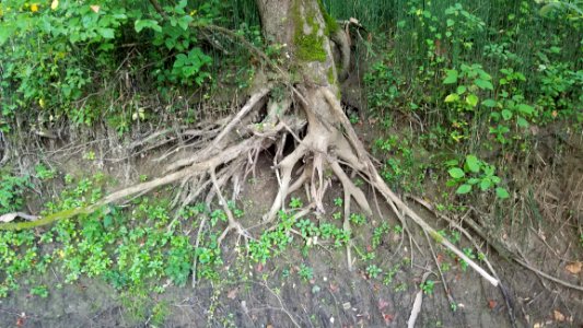 Rockbridge State Nature Preserve