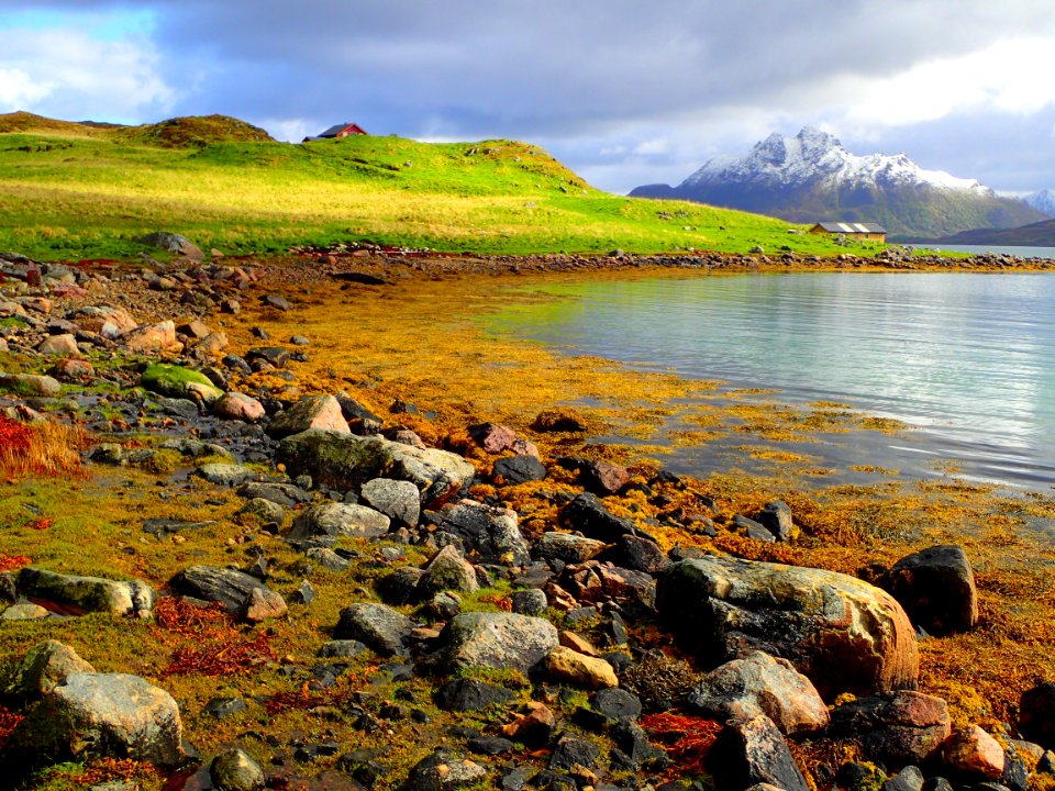 Coast Water Shore Rock