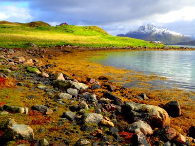Coast Water Shore Rock