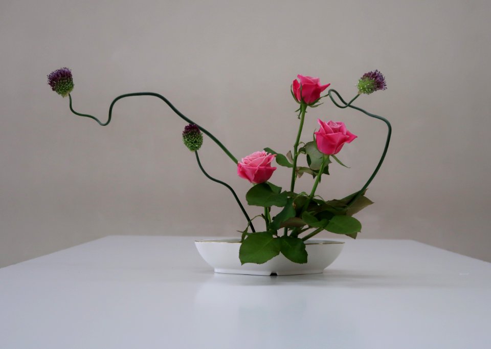 Flower Ikebana Vase Flowerpot photo