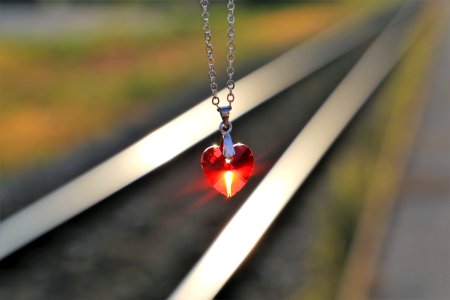 Red Close Up Jewellery Macro Photography photo