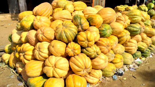 Vegetable Local Food Winter Squash Produce photo