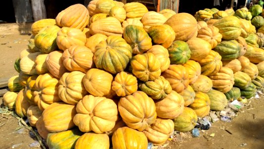 Vegetable Local Food Winter Squash Produce