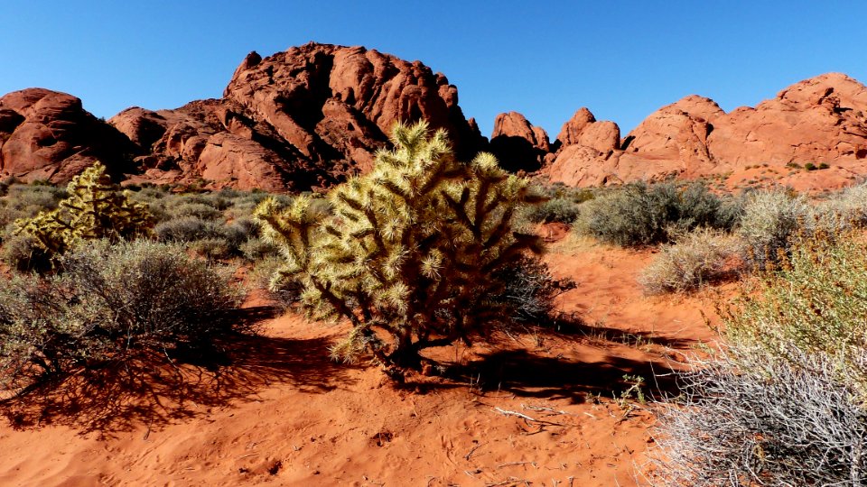 Rock Wilderness Chaparral Vegetation photo