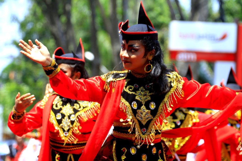 Festival Tradition Carnival Event