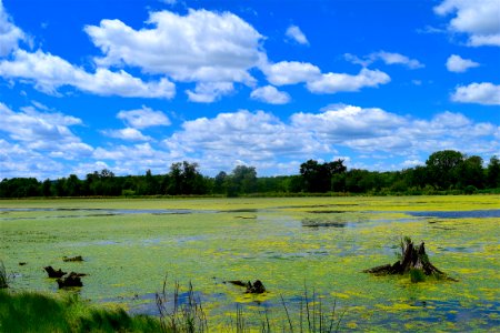 Grassland Sky Nature Wetland photo