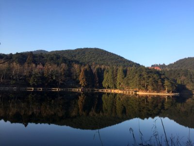 Reflection Nature Water Lake
