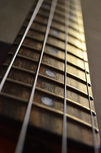 Guitar neck musical instrument guitar strings photo