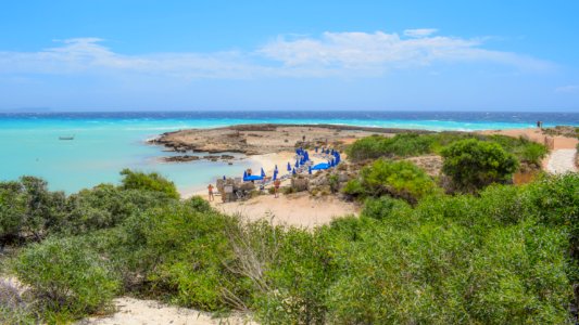 Coast Beach Promontory Sea photo