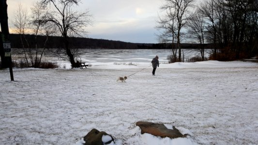 Snow Winter Water Freezing photo