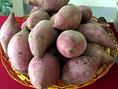 Root Vegetable Potato Produce Vegetable photo