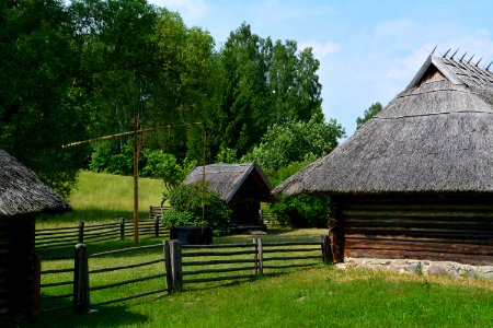 Cottage House Tree Grass photo