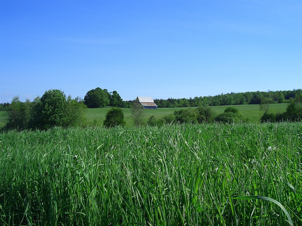 Nova scotia building farm photo