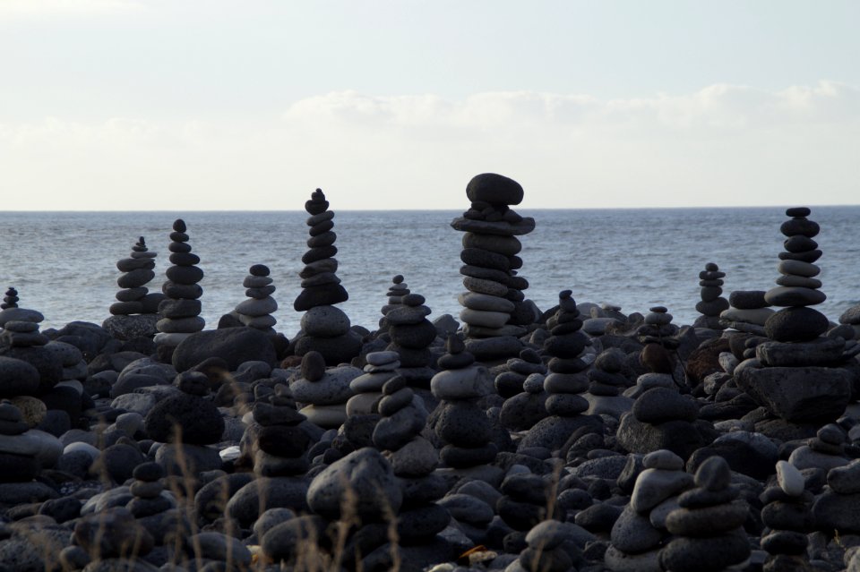 Sea Rock Shore Coast