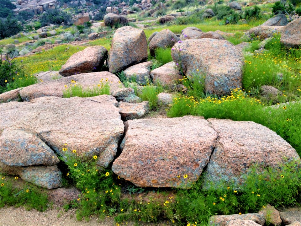 Rock Vegetation Boulder Bedrock
