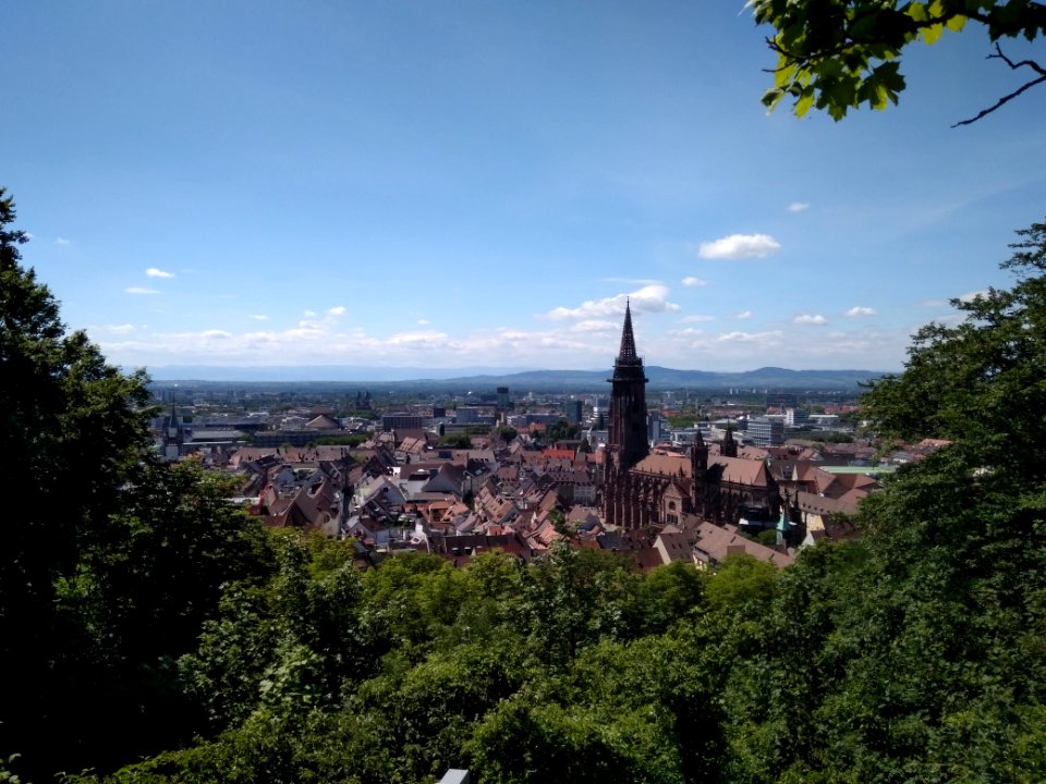 Sky City Tree Mountain