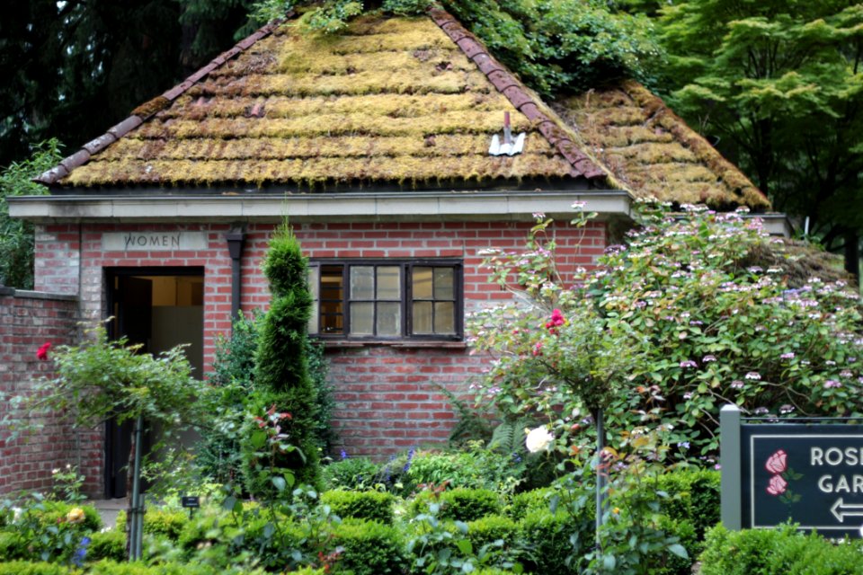 Cottage House Home Flower