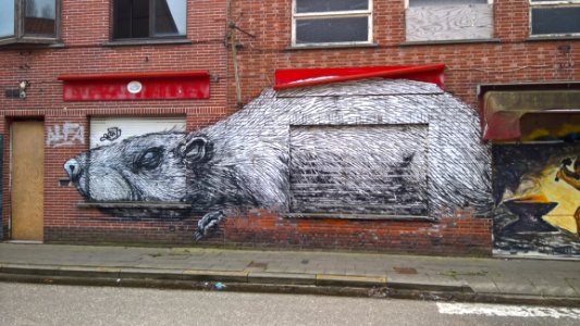 Street Art Art Graffiti Snout photo