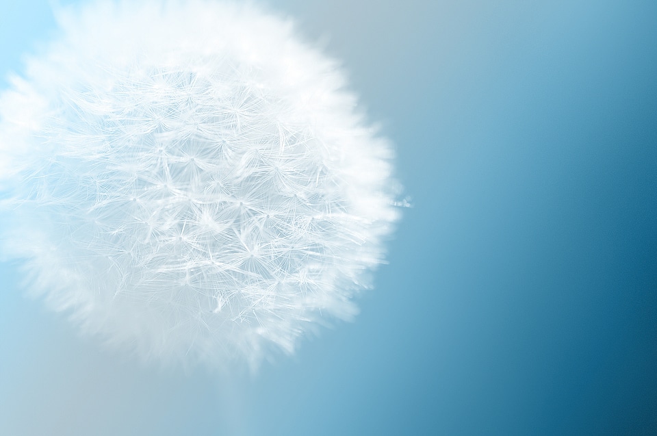 Nature blue background
