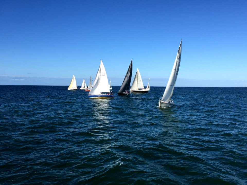 Sailboat Sail Water Transportation Dhow