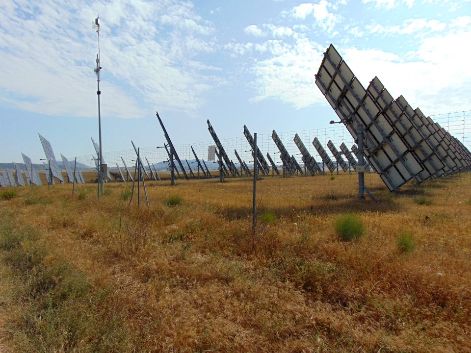 Windmill Field Sky Energy