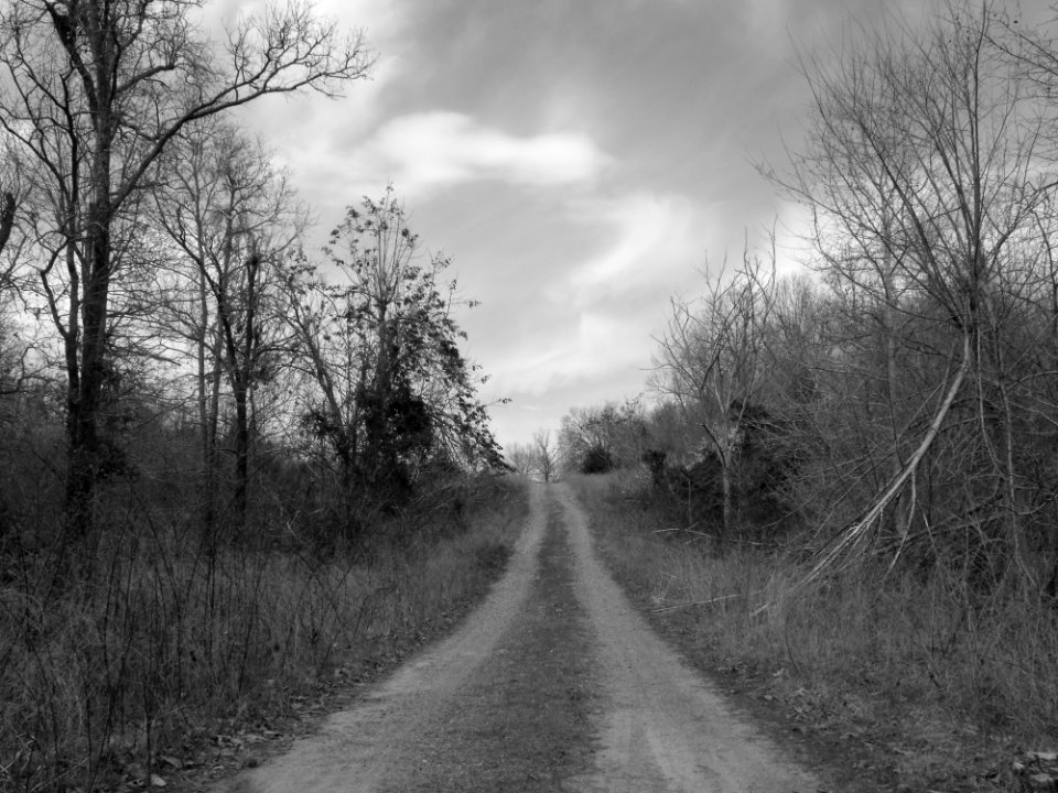 Sky Black Road Black And White