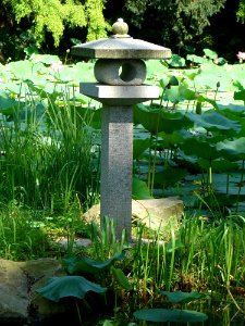 Garden Flora Leaf Bird Bath photo