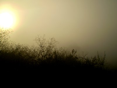 Mist Fog Sky Atmosphere photo