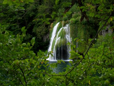 Waterfall Vegetation Nature Nature Reserve photo