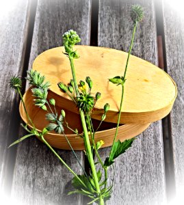 Plant Herb Flowerpot Table