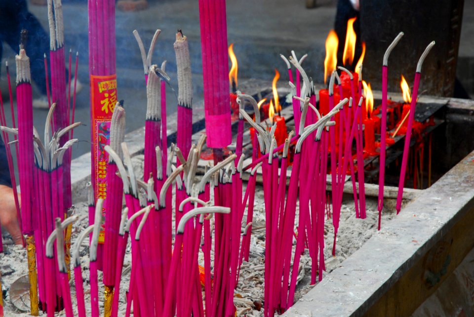 Pink Purple Tradition Magenta