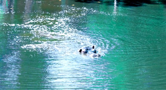 Water Water Resources Wave Sea