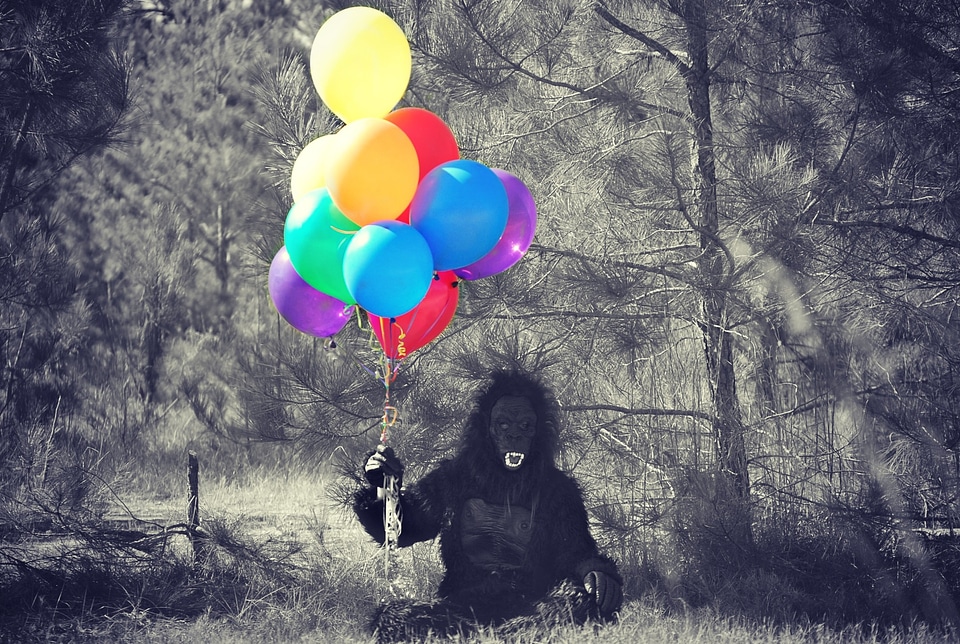 Person halloween monkey