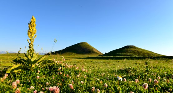 Grassland Field Sky Vegetation photo