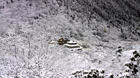 Snow Winter Frost Geological Phenomenon