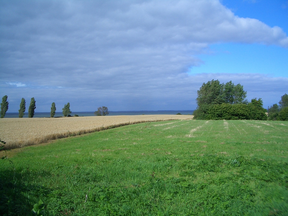 Clouds fields trees photo