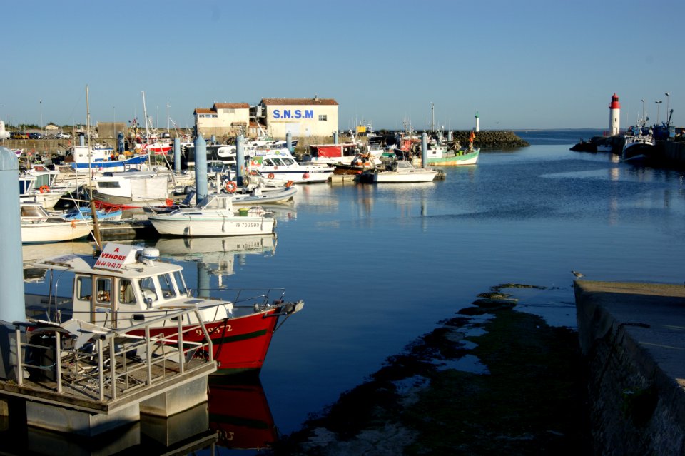 Water Transportation Harbor Marina Waterway