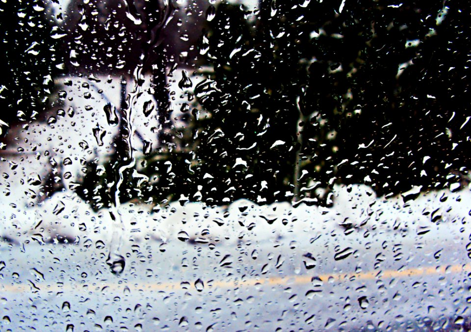 Water Freezing Rain Tree