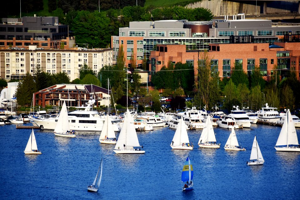 Marina Water Boat Harbor photo