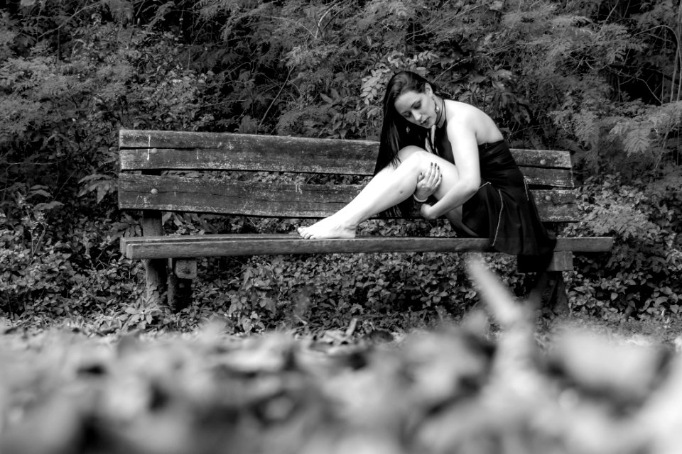 Photograph Nature Black Black And White
