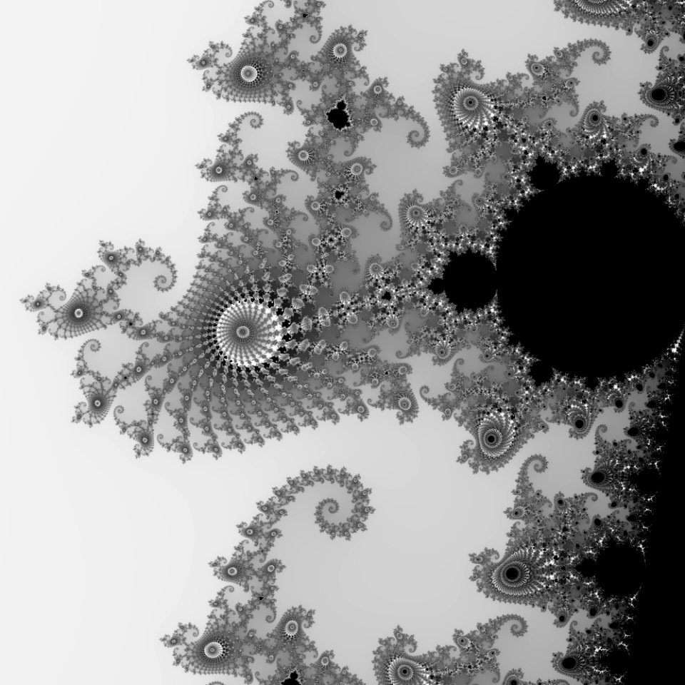 Black And White Monochrome Photography Monochrome Flora