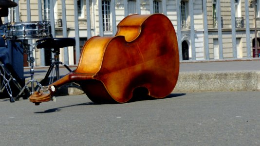 Musical Instrument Violin Family String Instrument Tololoche