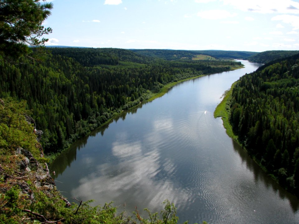 River Nature Water Wilderness