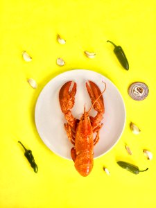 Lobster On Round White Ceramic Plate photo