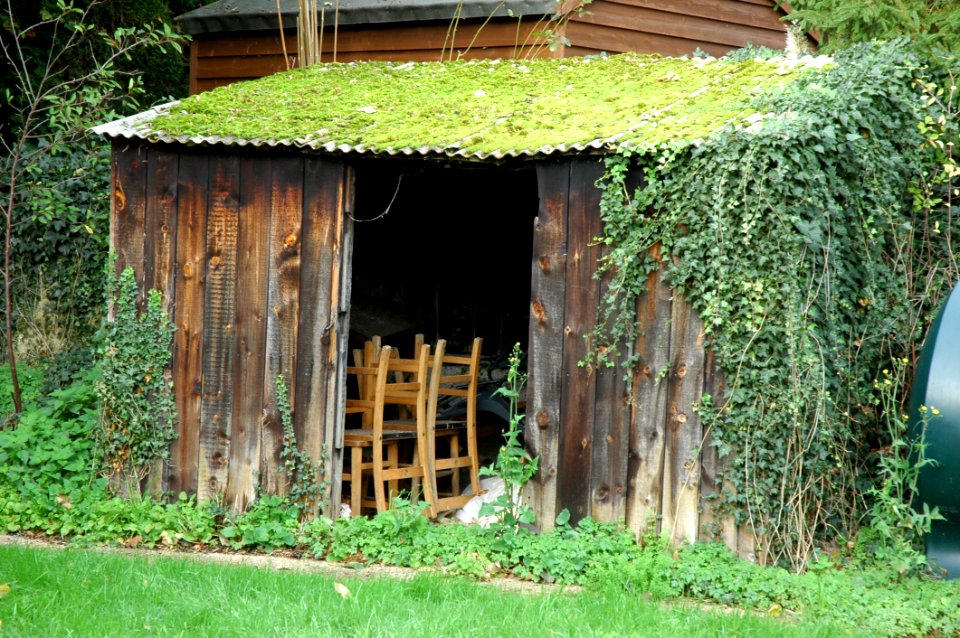 Shed House Outdoor Structure Grass
