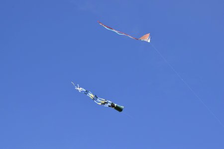 Sky Flight Kite Sports Aviation photo